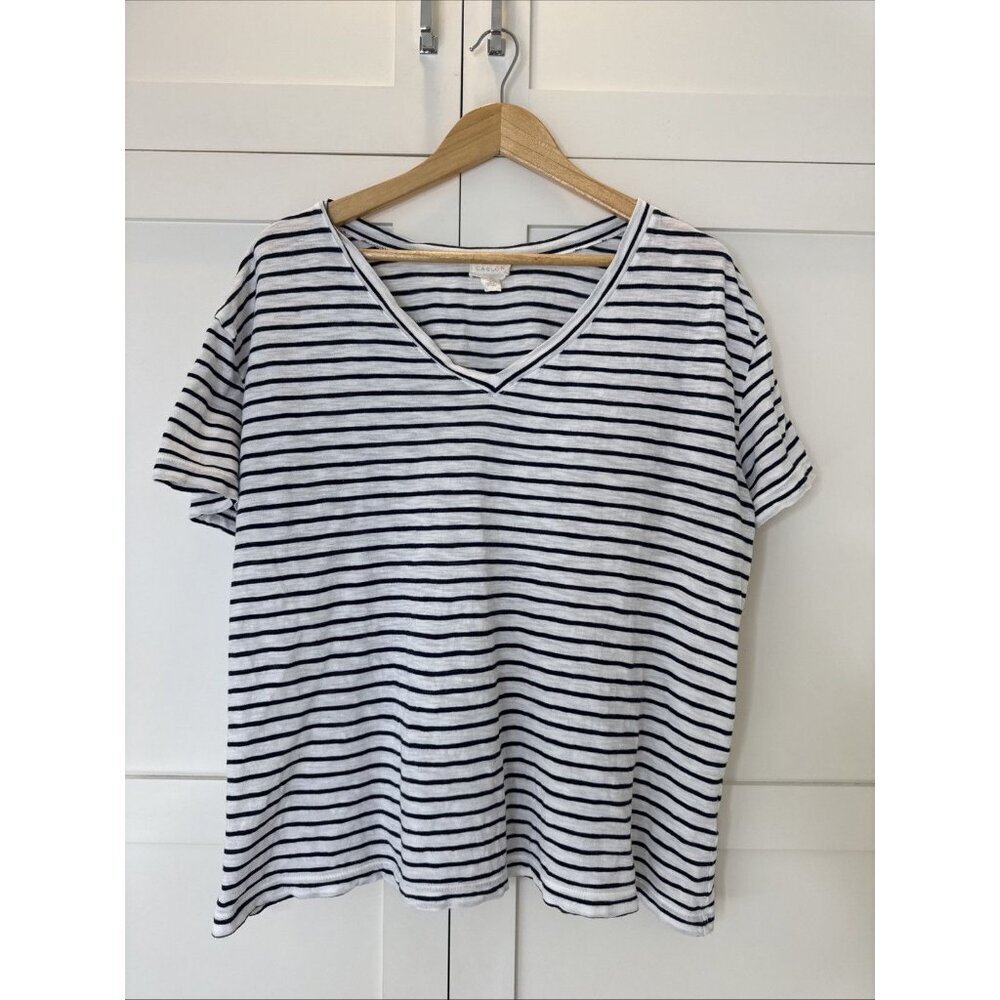 Caslon Women's Classic V-Neck Short Sleeve T-Shirt -White/Navy Stripe-LG
